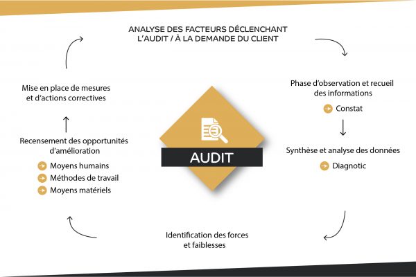 audit maquette_Plan de travail 1